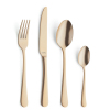 Besteckserie Austin PVD Gold Amefa