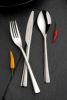Eternum Besteckserie Curve