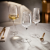 Glasserie SYMETRIE Chef & Sommelier