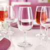 Glasserie Viticole von ARCOROC Degustation und Cognac