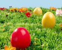 Tischwäsche und Servietten für Ostern und Frühling