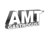 AMT Alumetall Gießtechnik GmbH