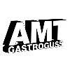 AMT Alumetall Gießtechnik GmbH Gastroguss 