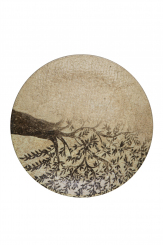 Teller flach Lona 19 cm Wise ID Fine 