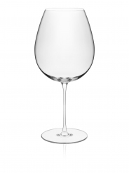 Bordeaux Glas 89 cl Diverto Rona 