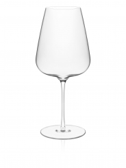 Bordeaux Glas 77 cl Diverto Rona 