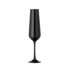 Champagnerglas schwarz 2er Set BAR Selection Bohemia Cristal 