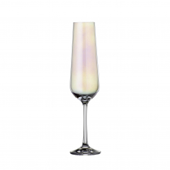 Champagnerglas irrisierend 2er Set BAR Selection Bohemia Cristal 