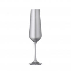 Champagnerglas silber 2er Set BAR Selection Bohemia Cristal 