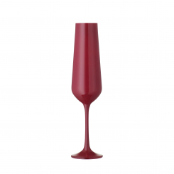 Champagnerglas rot 2er Set BAR Selection Bohemia Cristal 