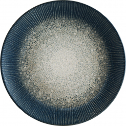 Gourmet Teller flach 21 cm Arctic von Bonna 