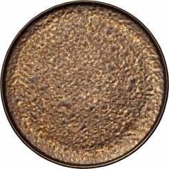 Teller flach rund coup 26 cm Nivo Metallic von Zwiesel Fortessa 