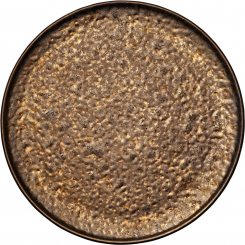 Teller flach rund coup 29 cm Nivo Metallic von Zwiesel Fortessa 