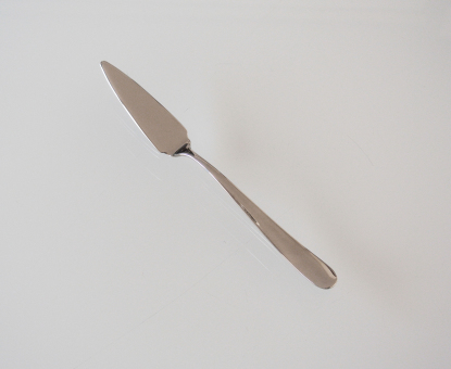 Pintinox Fischmesser Maitre 