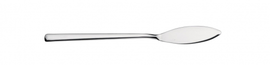 Pintinox Fischmesser Synthesis ab 12 Stück