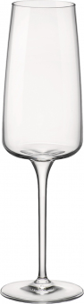 Sektkelch 24 cl Nexo Bormioli Rocco geeicht und mit Logodruck 