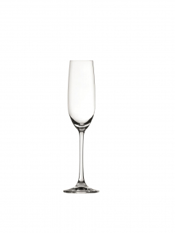 Champagnerglas 21 cl Salute Spiegelau 