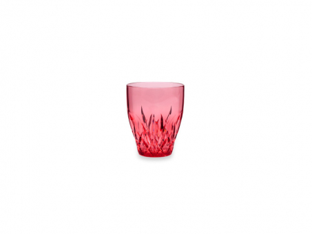 Wasserglas 25 cl Aurora Ruby Kunststoff Q Squared 