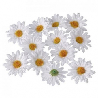 Deko-Accessoires weiss Daisy, 144 Stück 