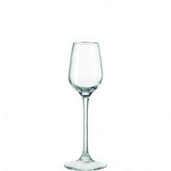 Digestiv 100 ml Tivoli Leonardo 