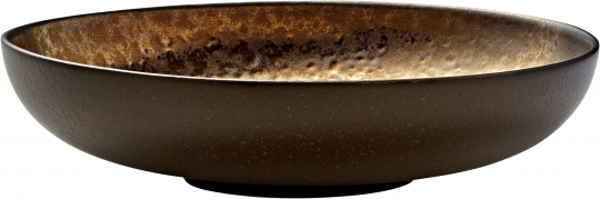 Teller tief rund coup 22 cm Nivo Metallic von Zwiesel Fortessa 