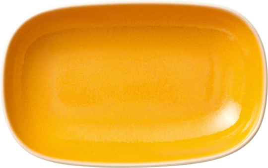 Platte tief coup 17 cm Nivo Apero von Zwiesel Fortessa 