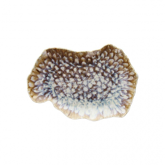 Platte oval 30 x 20 cm Reef Tognana 