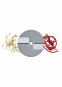 morepic-1