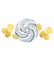 morepic-1