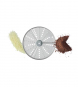 morepic-2