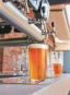 morepic-5